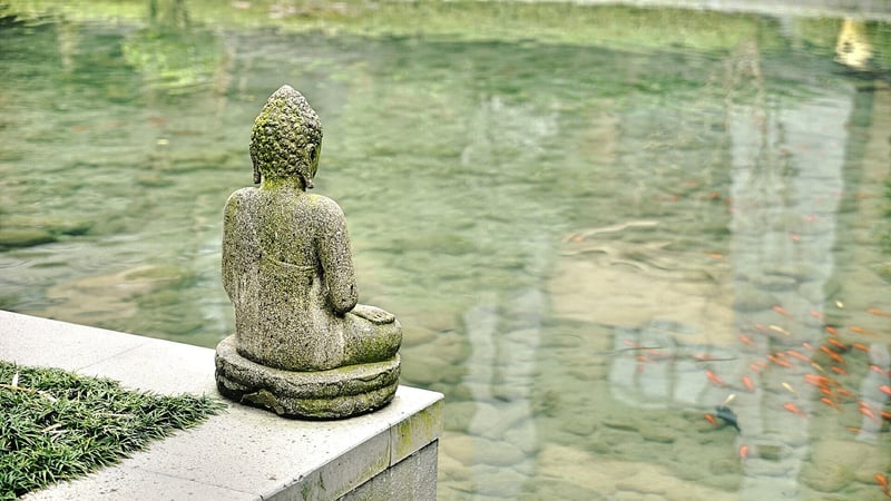 Mindfulness Meditation Image